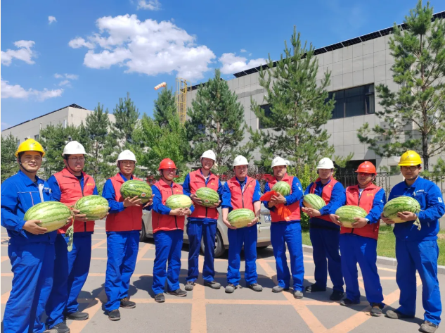 241735002348160971.png image.png