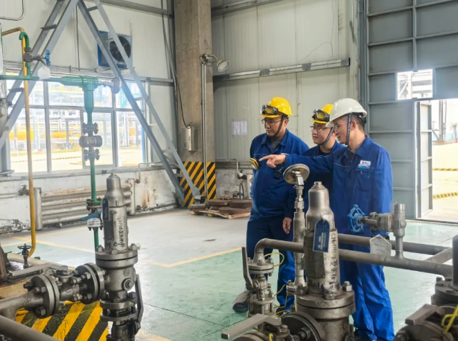 131760316741311595.png image.png